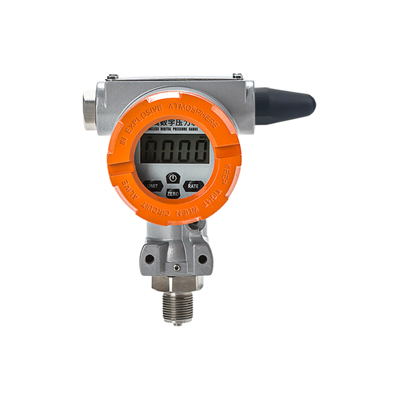 MD-S270 無線數字壓力表